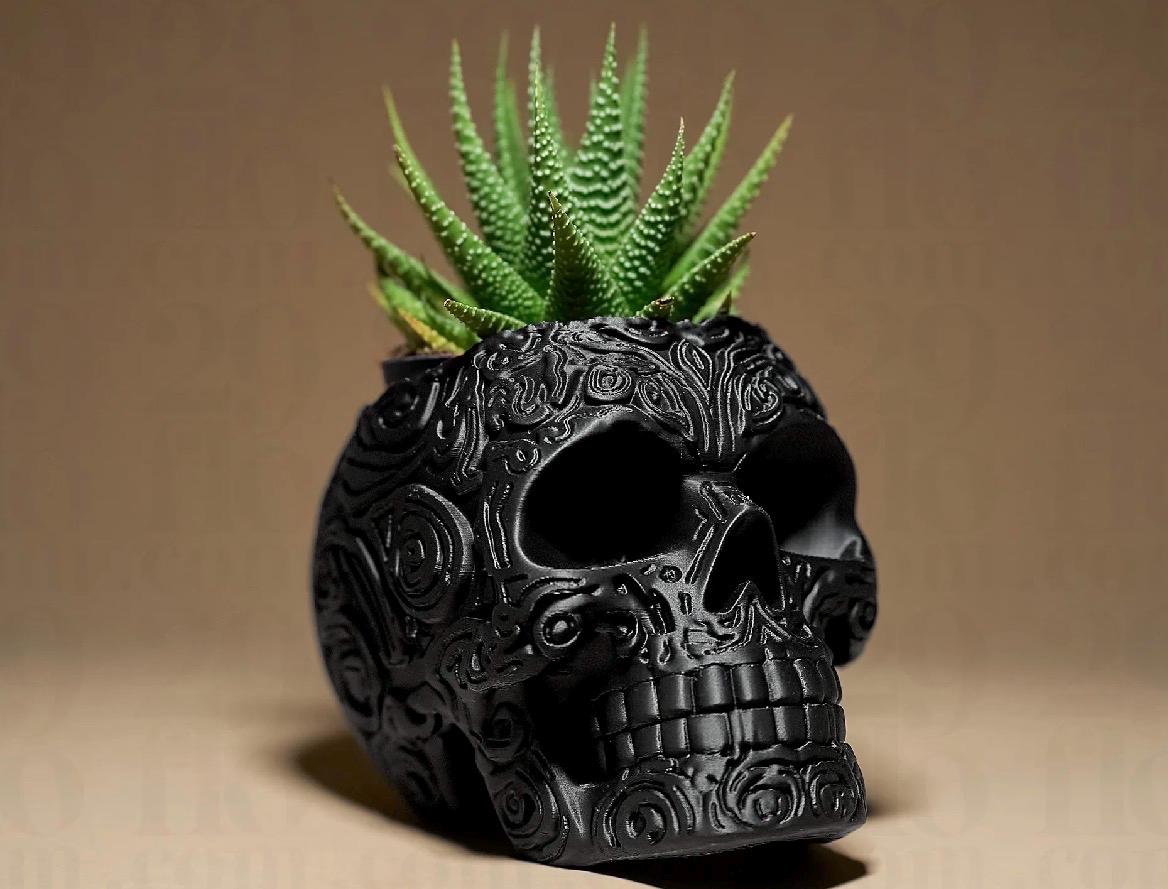 Skull plant pot, indoor plant. Gothic decor