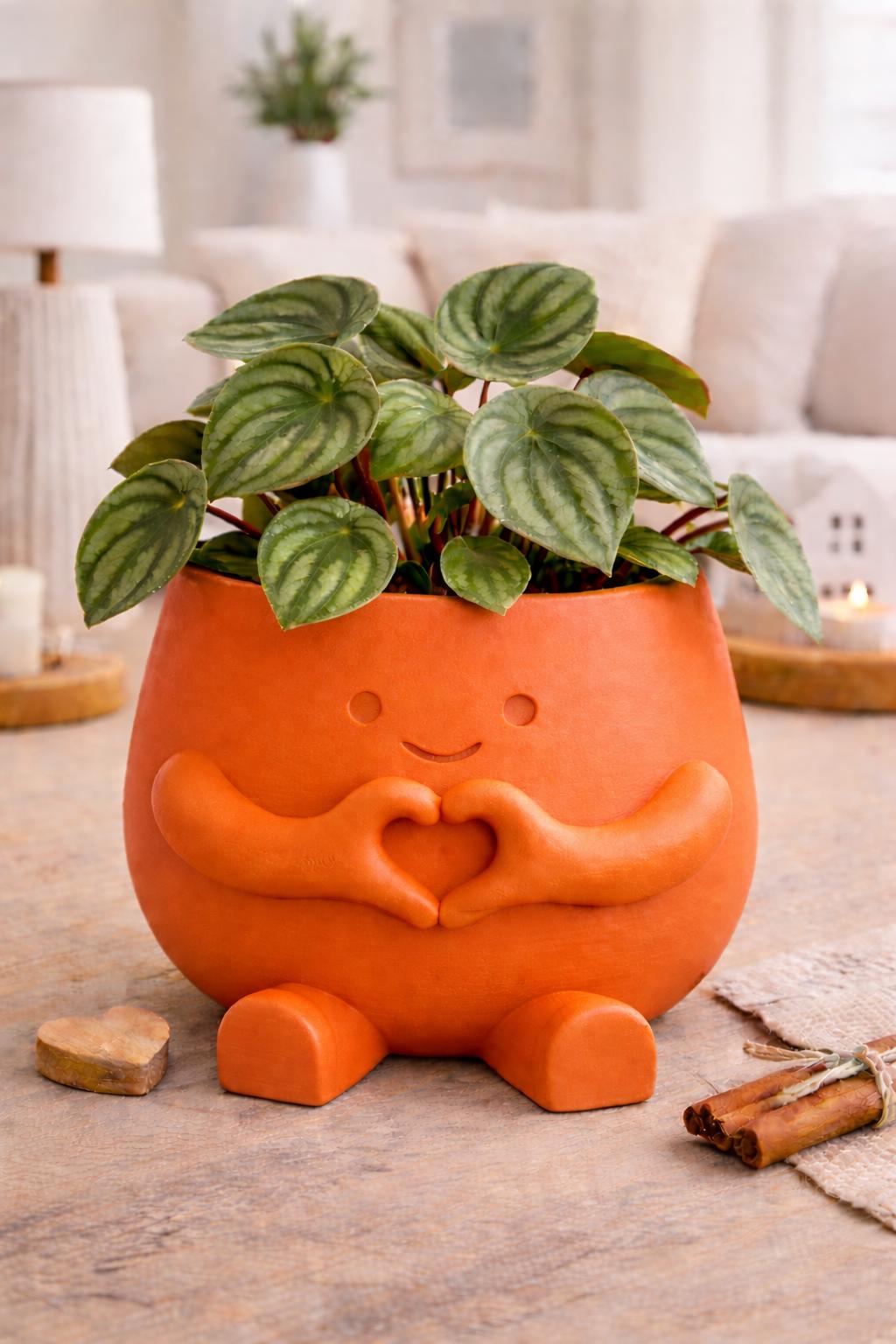 Love Plant Pot with Plant & Personalized Card – Gift for Friend, Family