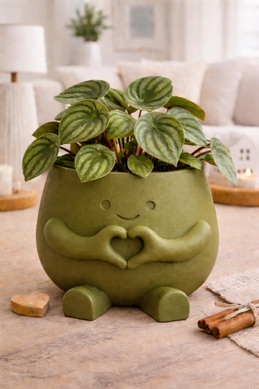 Love Plant Pot with Plant & Personalized Card – Gift for Friend, Family