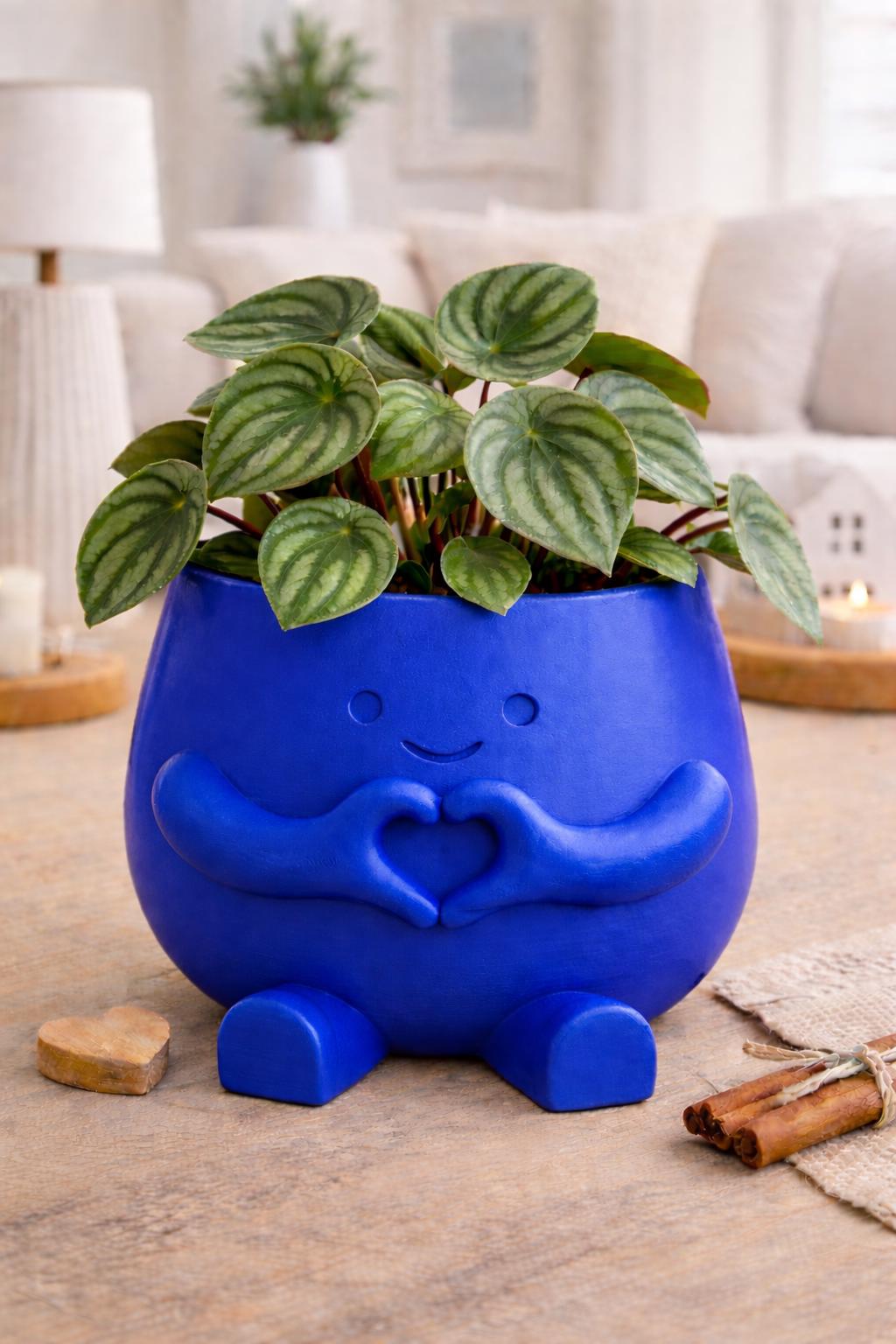 Love Plant Pot with Plant & Personalized Card – Gift for Friend, Family