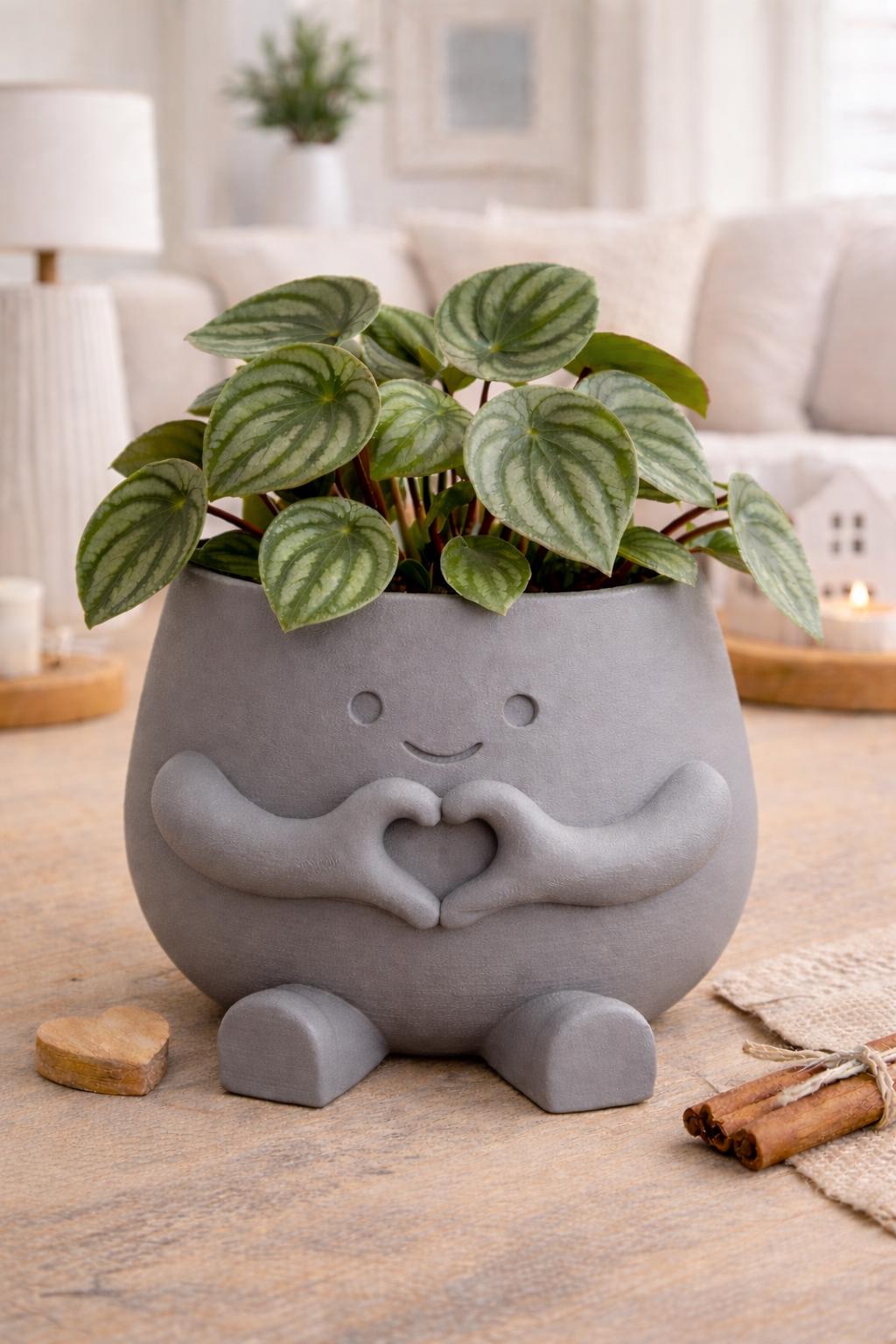Love Plant Pot with Plant & Personalized Card – Gift for Friend, Family