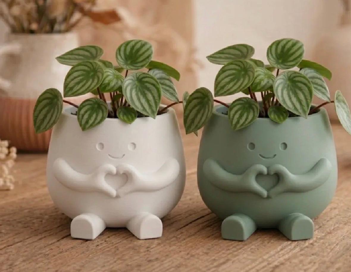 Love Plant Pot with Plant & Personalized Card – Gift for Friend, Family