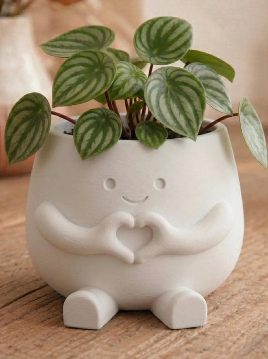 Love Plant Pot with Plant & Personalized Card – Gift for Friend, Family