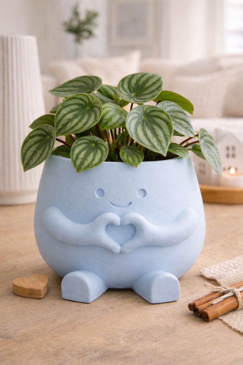 Love Plant Pot with Plant & Personalized Card – Gift for Friend, Family