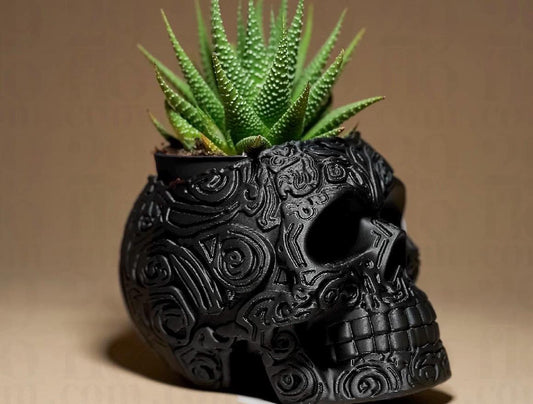 Skull plant pot, indoor plant. Gothic decor
