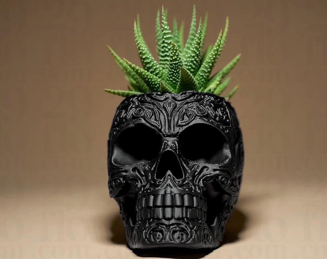 Skull plant pot, indoor plant. Gothic decor