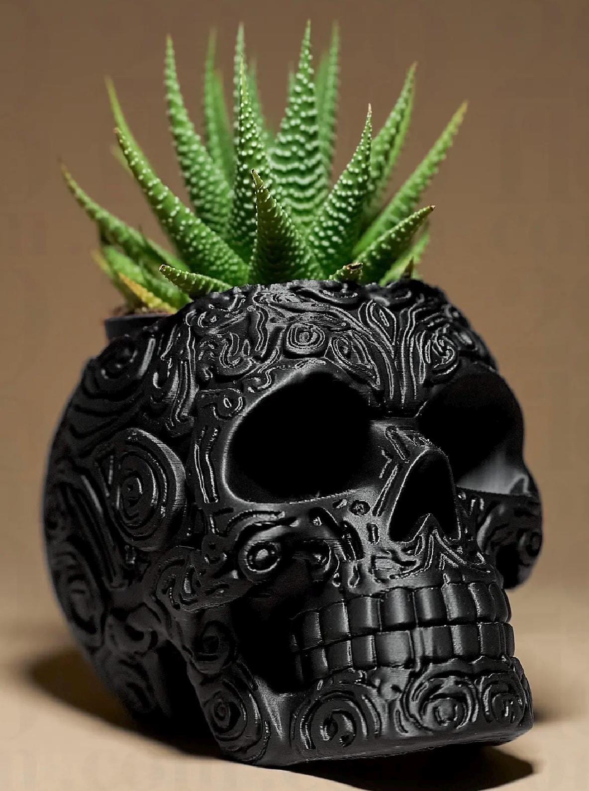 Skull plant pot, indoor plant. Gothic decor