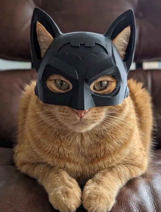 Cat hat-Fun Batman style hat for your cat. Photo op, cute cat lover gift.